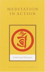 Meditation in Action