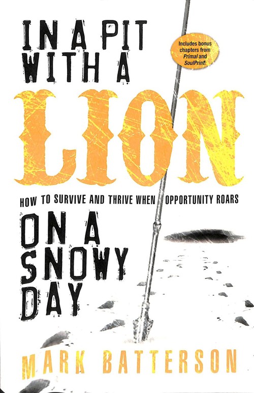 In a Pit with a Lion on a Snowy Day
