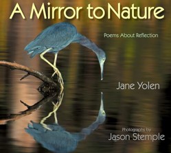 A Mirror to Nature