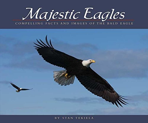 Majestic Eagles