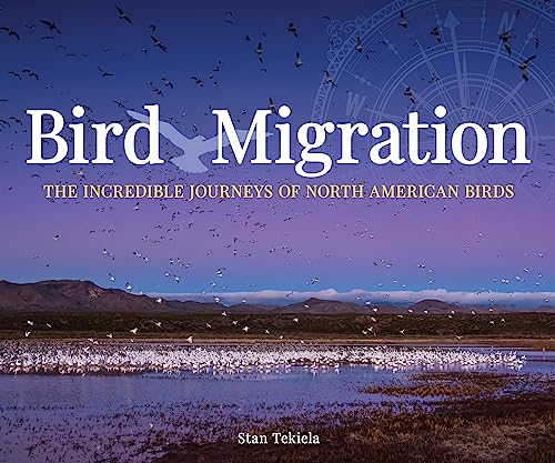 Bird Migration
