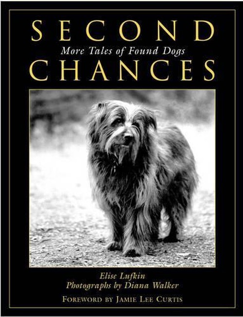 Second Chances