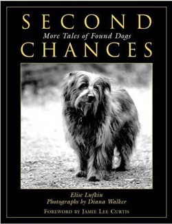 Second Chances