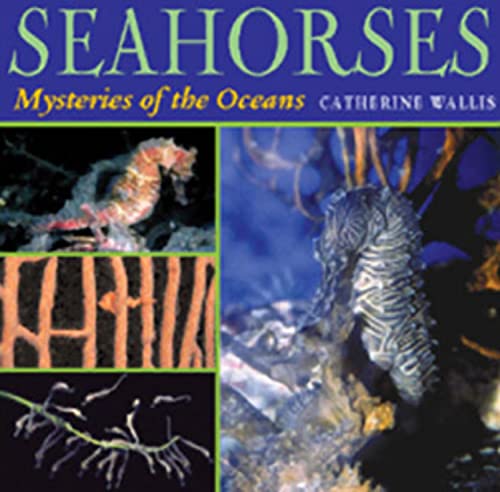 Seahorses