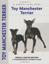 Toy Manchester Terrier