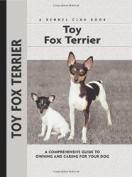 Toy Fox Terrier