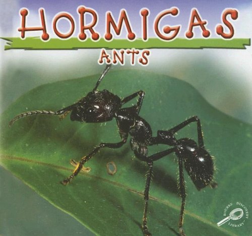 Hormigas