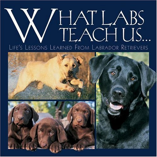 What Labs Teach Us