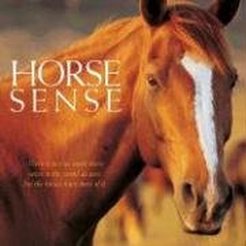 Horse Sense