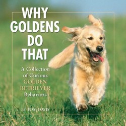 Why Goldens Do That