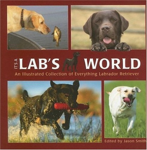 It's a Lab's World