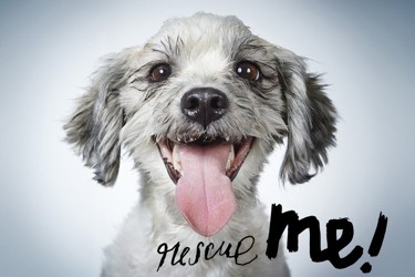 Rescue Me!