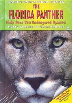 The Florida Panther