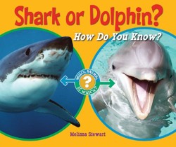 Shark or Dolphin?