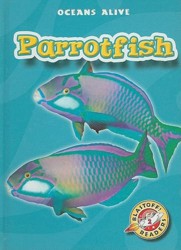 Parrotfish