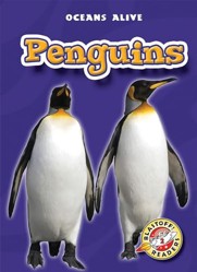 Penguins