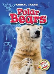 Polar Bears
