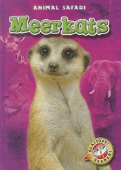 Meerkats