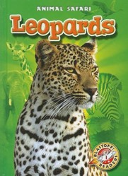 Leopards
