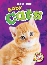 Baby Cats