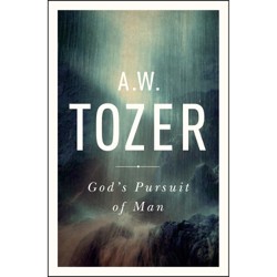 God's Pursuit Of Man