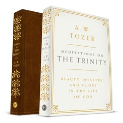 Meditations on the Trinity