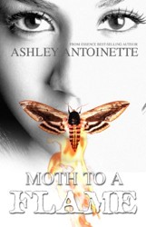 Moth To A Flame