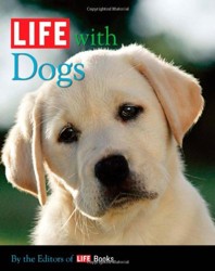Life with Dogs