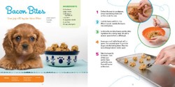Cool Pet Treats