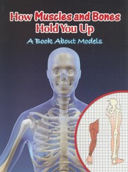 How Muscles and Bones Hold You Up
