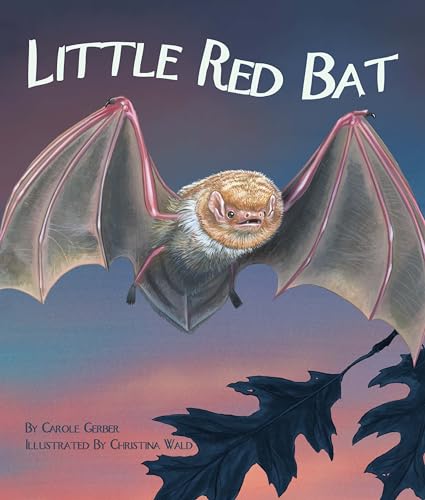 Little Red Bat