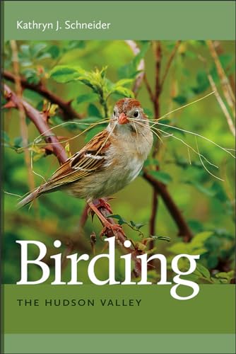 Birding the Hudson Valley