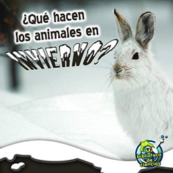 Que Hacen Los Animales En Invierno?