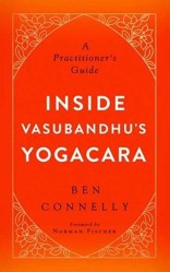 Inside Vasubandhu's Yogacara