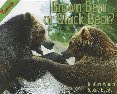 Brown Bear or Black Bear?