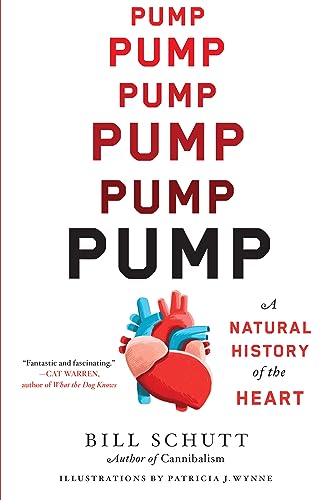 Pump