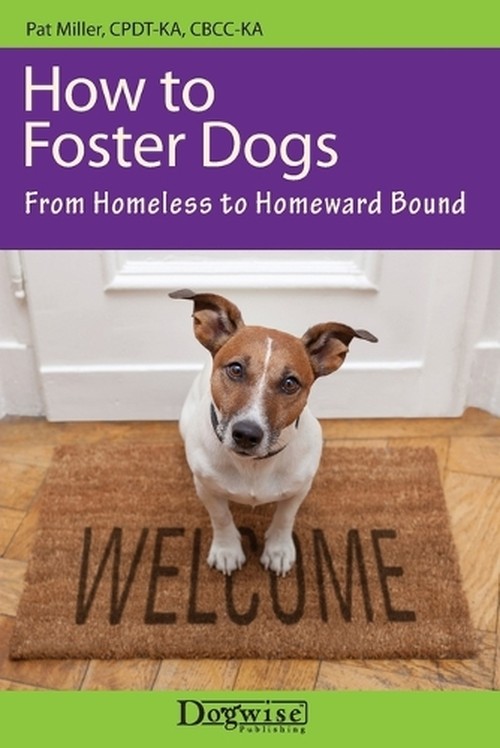 How to Foster Dogs