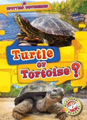 Turtle or Tortoise?