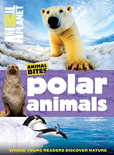 Animal Bites: Polar Animals