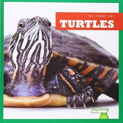 Turtles