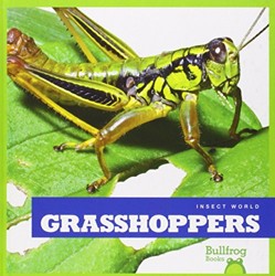 Grasshoppers