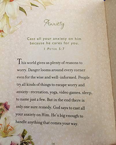 Everyday Comfort