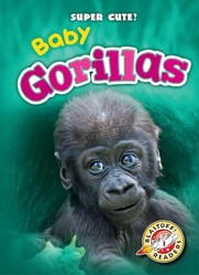 Baby Gorillas