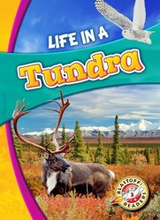 Life In A Tundra