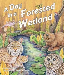 A Day in a Forested Wetland