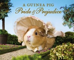 A Guinea Pig Pride and Prejudice