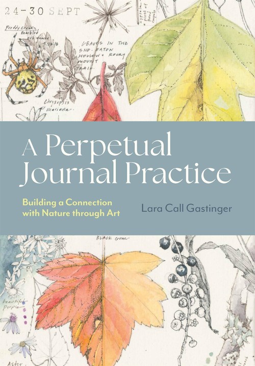 A A Perpetual Journal Practice