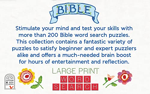 Bible Large Print Word Search