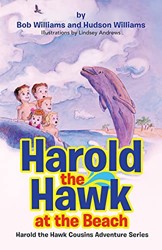 Harold the Hawk at the Beach