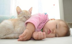 Babies Love Kittens